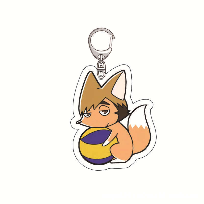 Haikyuu Anime Schlüsselanhänge – Anime Merchandise Keychains Bewertung und Preis