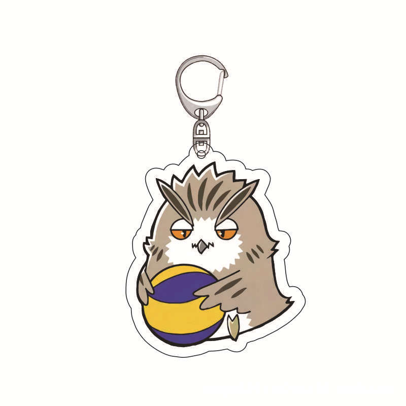 Haikyuu Anime Schlüsselanhänge – Anime Merchandise Keychains Bewertung und Preis