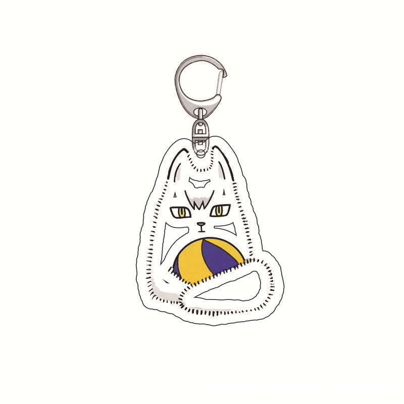 Haikyuu Anime Schlüsselanhänge – Anime Merchandise Keychains Bewertung und Preis