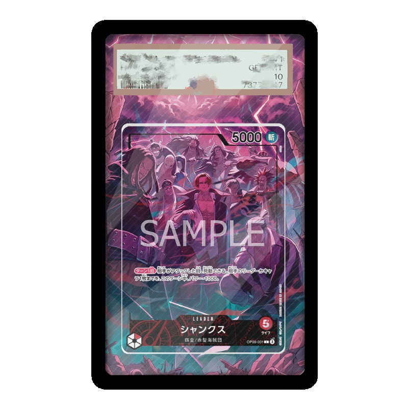 Acryl-Schutzhülle für One Piec – Anime Merchandise From Japan Bewertung und Preis