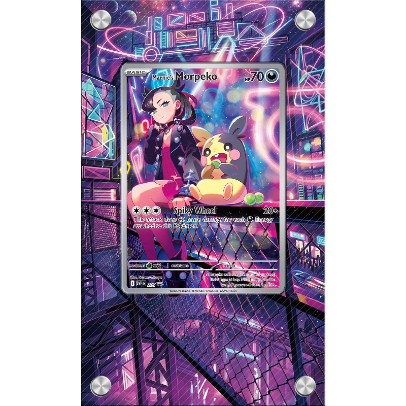 Kunstvoller Acryl-Schutzbehält – Anime Merchandise From Japan Bewertung und Preis